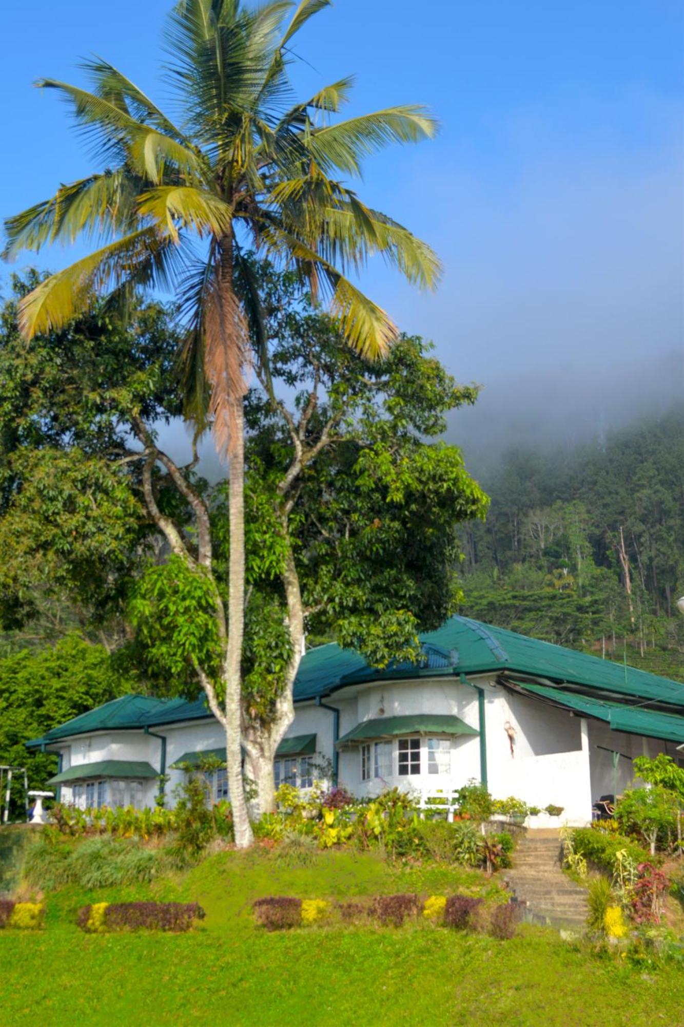 Hatale Tea Estate Bungalow Madulkele Exterior foto